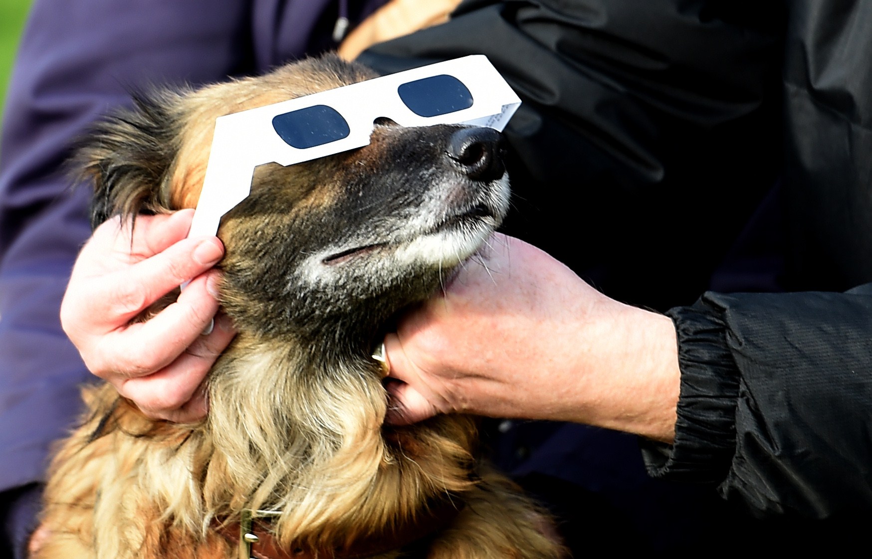 Welding glasses might not keep your eyes safe | KREM.com Welding glasses might not keep your eyes safe | KREM.com